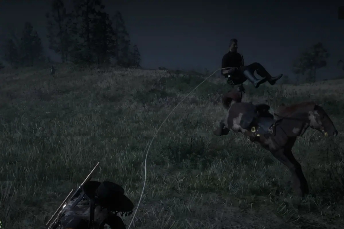 Ein Reiter wird mit dem Lasso vom Pferd geholt